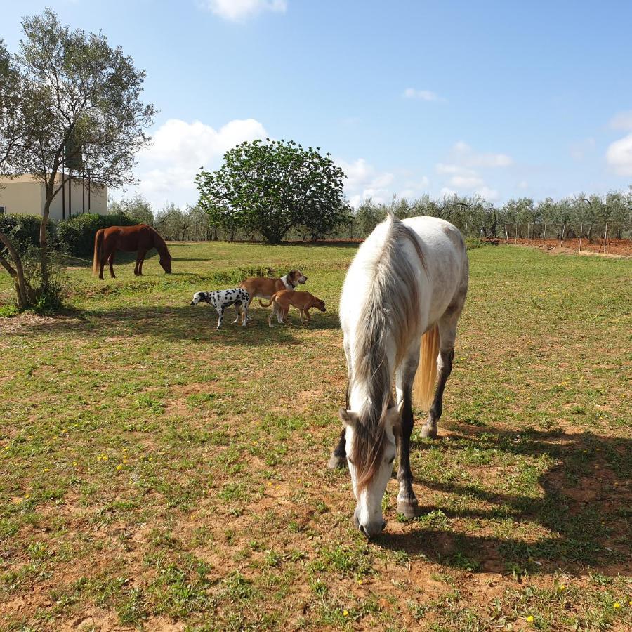 Finca-Vallestares Almonte Zewnętrze zdjęcie