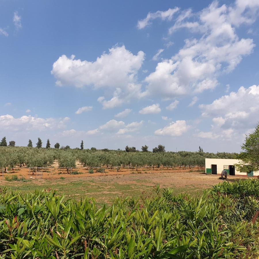 Finca-Vallestares Almonte Zewnętrze zdjęcie